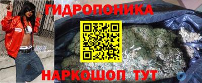индика Берёзовский