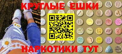 сатива Бийск