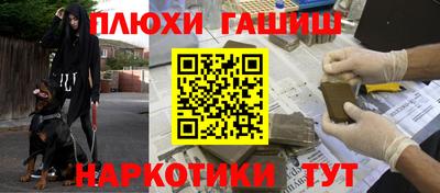 сатива Бийск