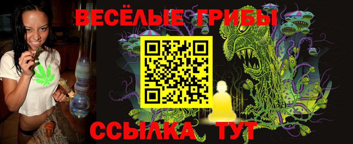Псилоцибиновые грибы Cubensis Ипатово