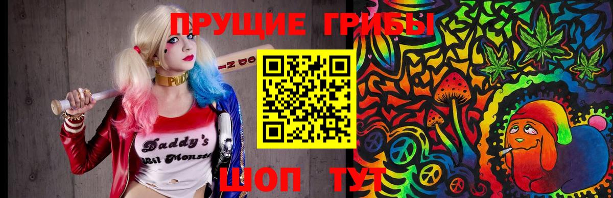 Псилоцибиновые грибы ЛСД  Вход с VPN  Ипатово 